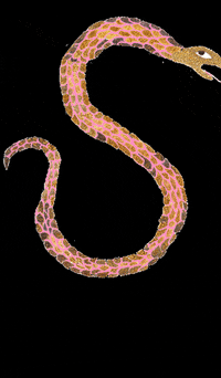 sophie zach GIF by The Woods & Co