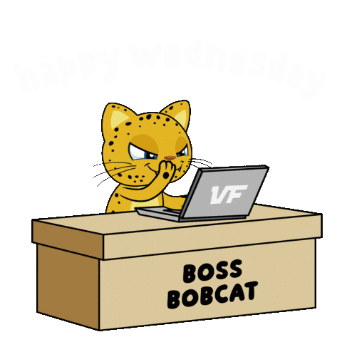 Working Wednesday Morning Sticker by VeeFriends