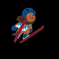 bsvski bsv bayerischer skiverband schorski skisprung GIF