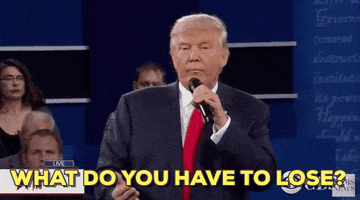 What Do You Have To Lose Donald Trump GIF by Election 2016