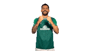Go Team Yes Sticker by SV Werder Bremen