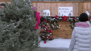 Happy Tis The Season GIF by Hallmark Channel