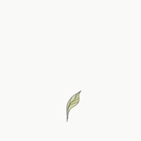 Life Growing GIF