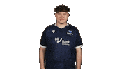 Karlsruher Sc Hello Sticker by Bundesliga