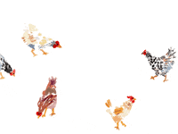 artofmadeleine chickens aom artofmadeleine art of madeleine GIF