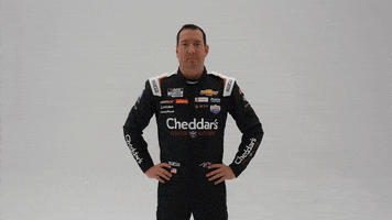 Confused Kyle Busch GIF by Richard Childress Racing