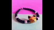 universoanimalmx miau GIF