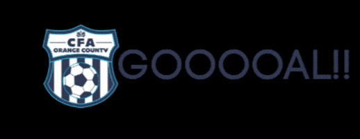 Soccer Goal GIF by CFA OC