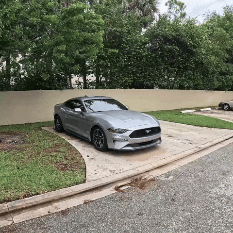 Mustang Moka GIF