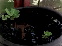 the overture thailand GIF