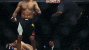 ufc 208 GIF