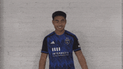 Soccer Futbol GIF by San Jose Earthquakes