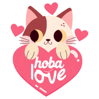 hobadelivery delivery pernambuco camaragibe carpina Sticker