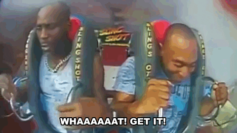 dmx GIF