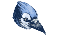 Blue Jay Bird Sticker