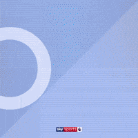 Goal Epl GIF by skysports
