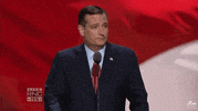 republican national convention rnc GIF by Election 2016