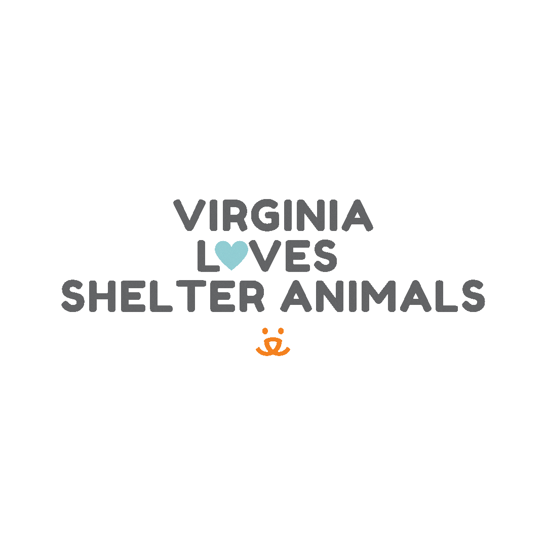Cat Love Sticker by Best Friends Animal Society