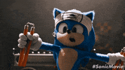 Sonicmovie GIF by Sonic The Hedgehog