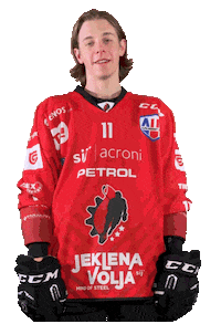 Hockey Hokej Sticker by HDD SIJ Acroni Jesenice