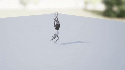 Cat Animation GIF by Astral Clocktower Studios