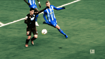 Tsg 1899 Wow GIF by Bundesliga