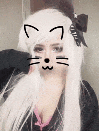Cat Kitty GIF