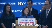 New York Governor GIF by GIPHY News