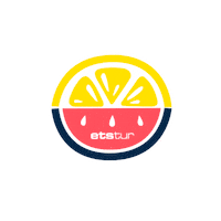 Summer Yaz Sticker by Etstur