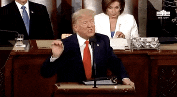 Donald Trump GIF by GIPHY News