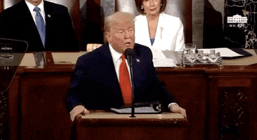 Donald Trump GIF by GIPHY News