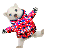 Happy Polar Bear Sticker by Chris Timmons
