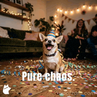 Chaos Chihuahua GIF by Woofzara