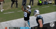 carolina panthers football GIF by NFL