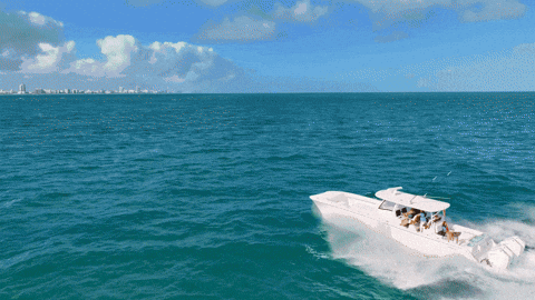 Front Runner Miami GIF by GEMLUX