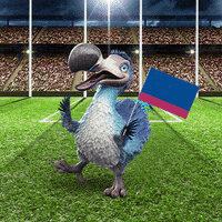 Brisbane Lions Afl GIF by Dodo Australia
