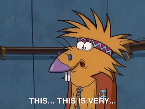 nickrewind giphydvr nicksplat angry beavers giphyab017 GIF