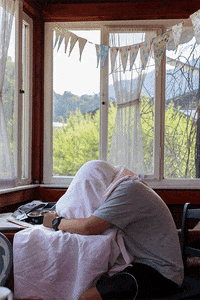 itsayorki alltag jedentageingif itsayorki GIF