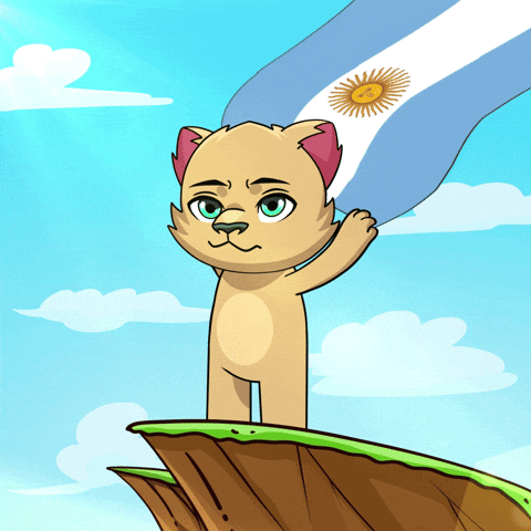 Buenos Aires Flag GIF by Kabu