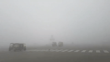 Thick Fog Descends on New Delhi as Temperatures Plummet