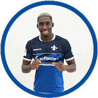 Celebrating 2 Bundesliga Sticker by SV Darmstadt 1898 e.V.