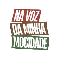Carnaval 2024 Sticker by Mocidade Alegre