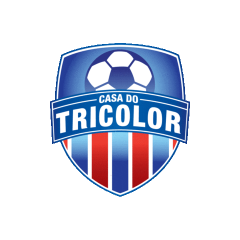 Bahia Ct Sticker by Casa Tricolor