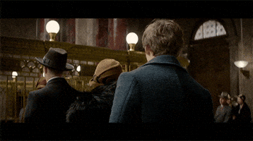 harry potter GIF by mtv