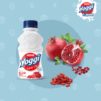 yoggi GIF