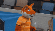 Happy Womens Soccer GIF by National Women's Soccer League