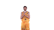Liga Endesa Basketball Sticker by ACB