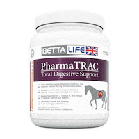 bettalife horse horses horsefeed bettalife Sticker