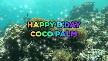 happy anniversary cocopalm GIF by CocoCollection