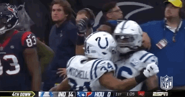 2018 Nfl Football GIF by NFL
